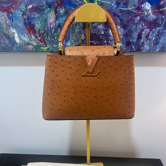 Louis Vuitton Handbags - Louis Vuitton Capucine small Exotic ostrich bag NWT pristine